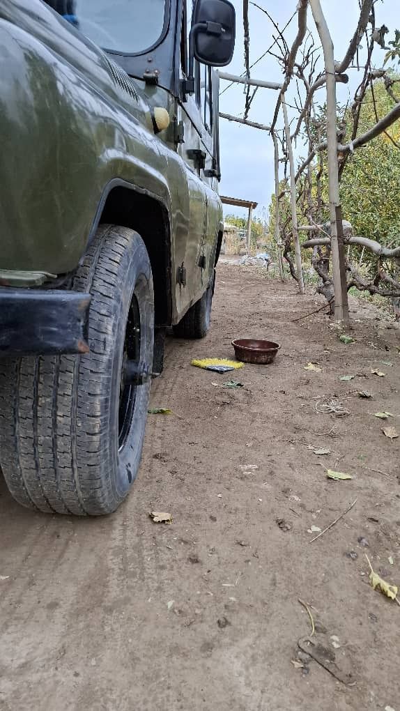 Uaz devid 1984 yil