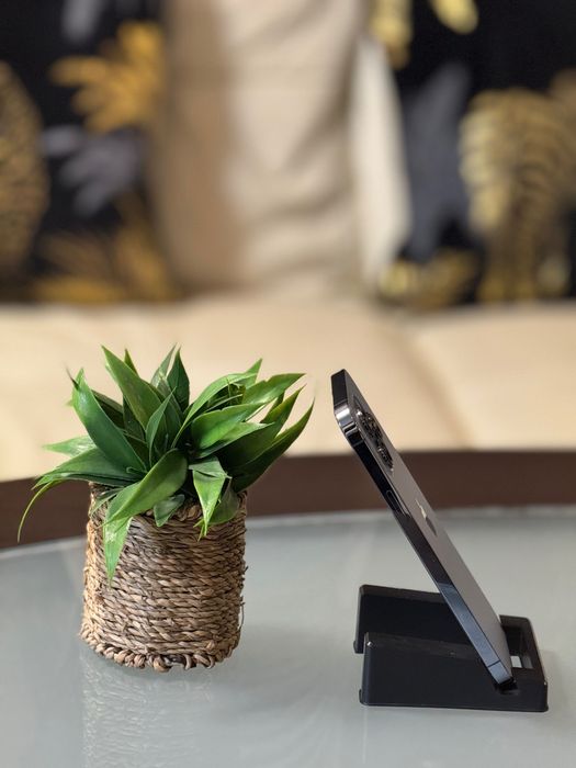 iPhone 13 Pro Max - Sierra Blue