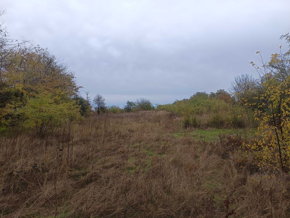 Teren intravilan 2200mp Cosoveni