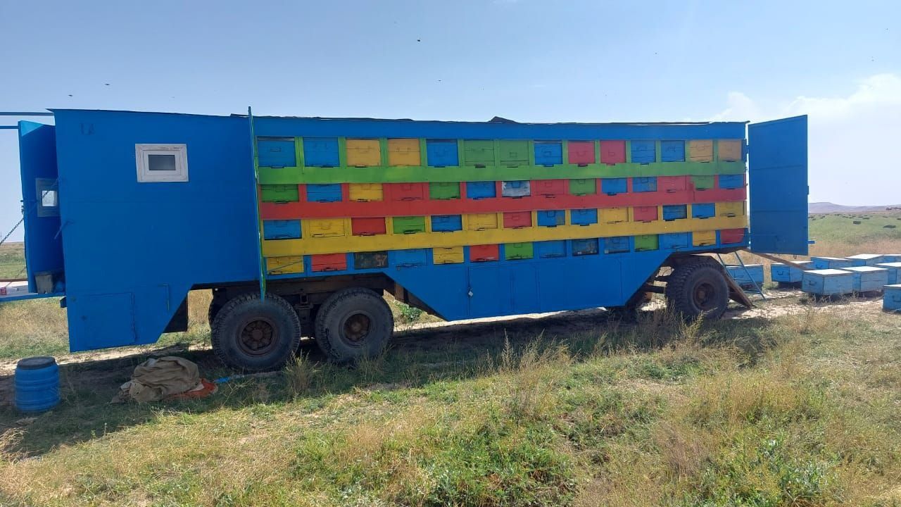 Продам пчелоприцеп