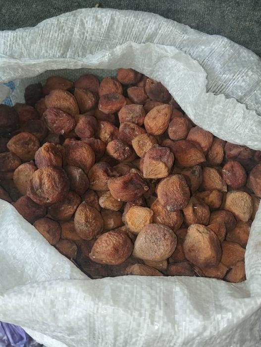 субхон урик кандак