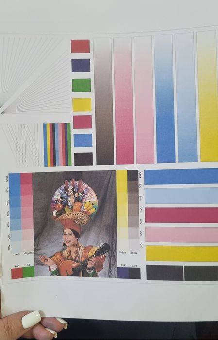 Приниер Epson l132