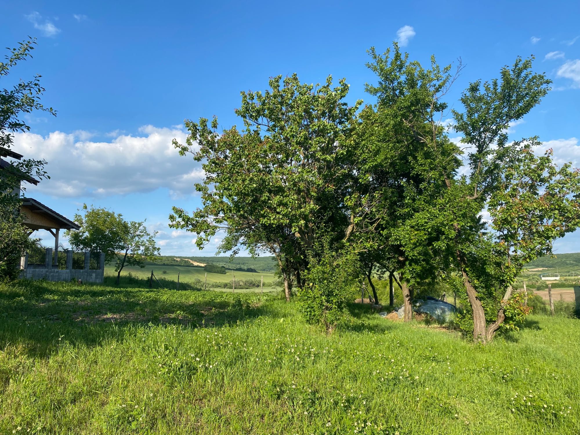 Teren intravilan Sântelec, lângă Oradea