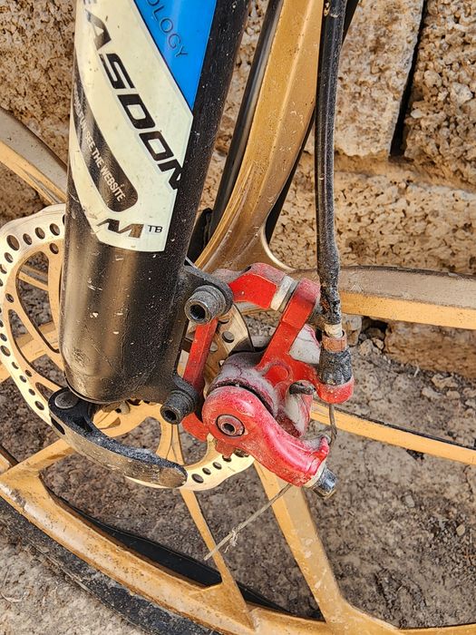 Velosapet model Sport KEASDON Blue