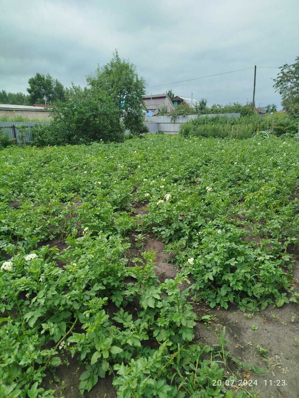 Продам дом с земельным участком!