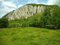 Teren Apuseni parcele 600,800,1000m ,