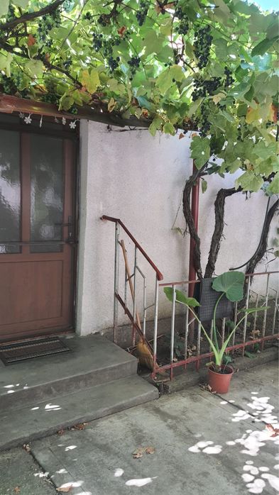 Chirie la casa in Gradiste