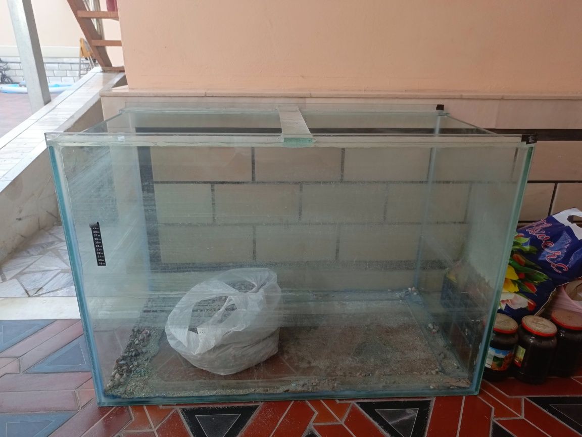 Akvarium yangidek turibti