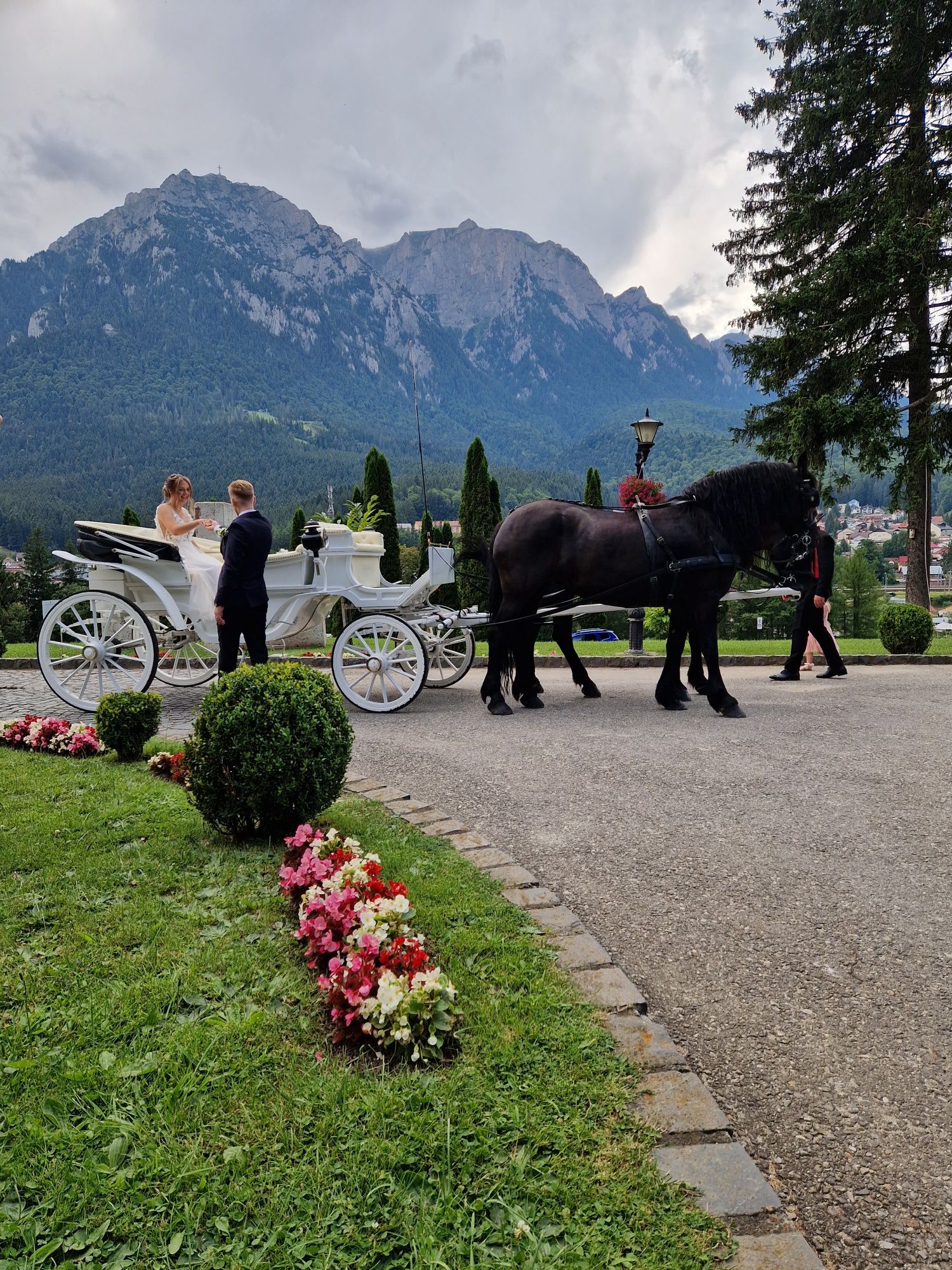 Trasura caleasca pentru evenimente de închiriat.