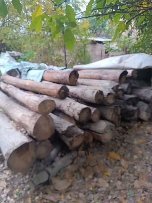 Терак -> Брёвна продается для стройки