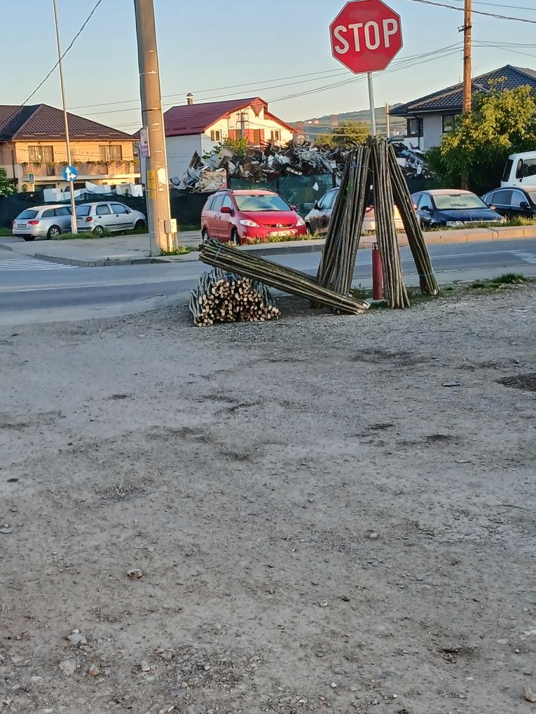 Vând pari de roșii și de fasole și de gard eletric preț fix 2 lei
