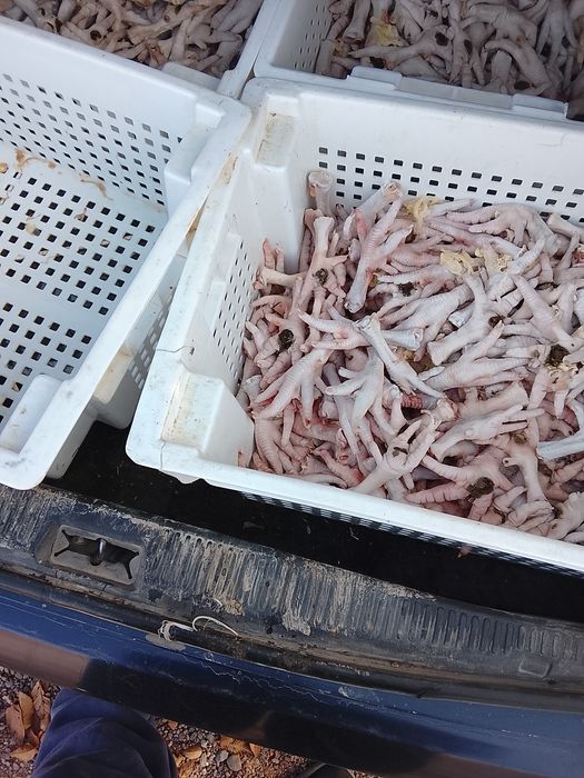 Продам куриные лапки для собак , недорого, с доставкой