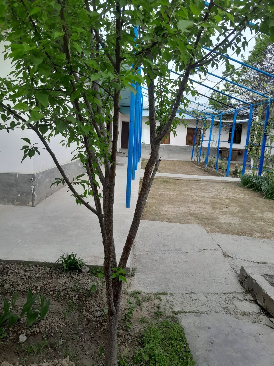 Uchaska sotiladi