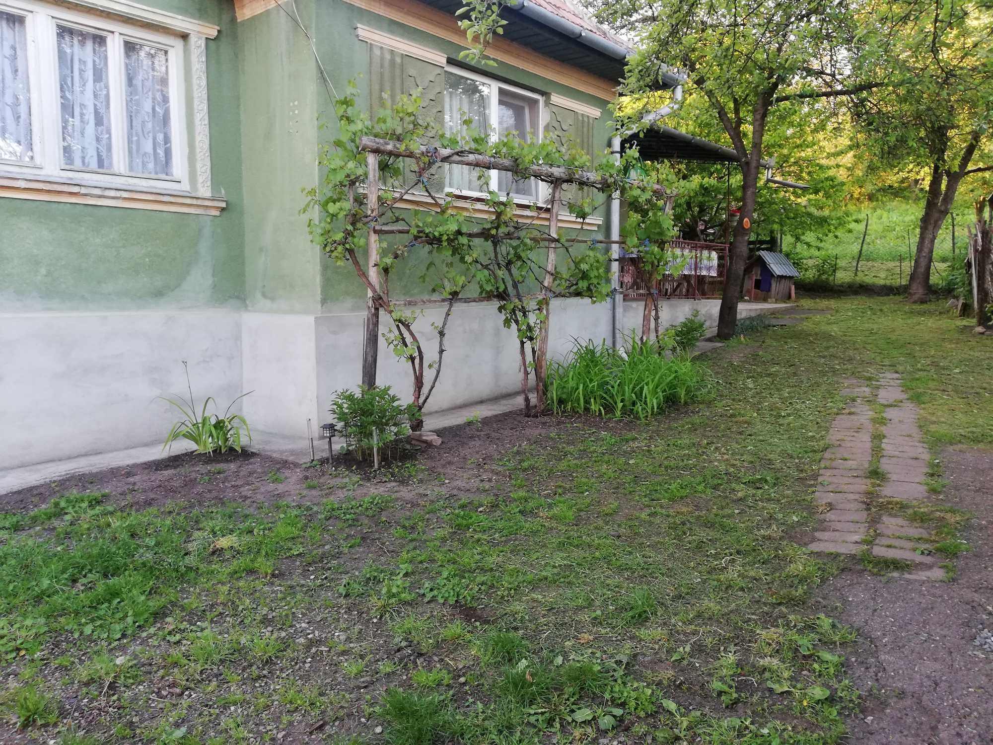 Casa de vanzare iara cluj