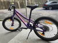 Bicicleta Specialized  Hotrook 20