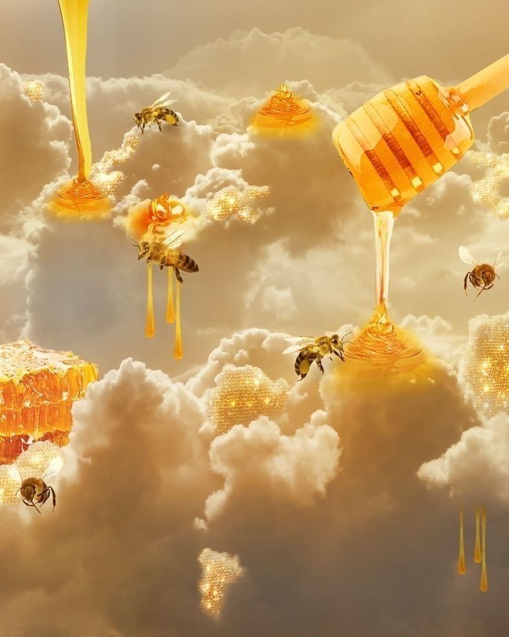 Прекрасный натуральный мёд из экологически чистых регионов!