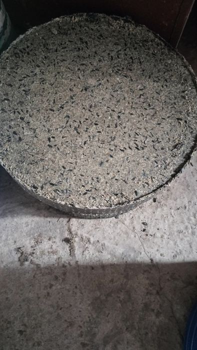 Vând Pogace presată