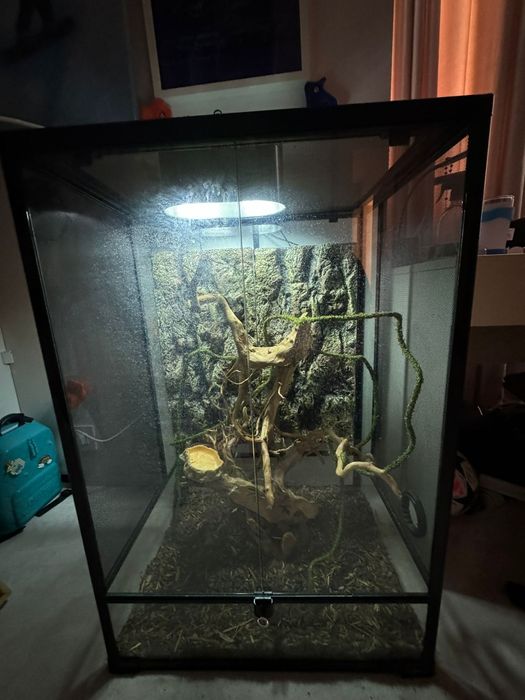 Terariu pentru reptile  plus lampa uv, 1000 RON, folosit doar 2saptama