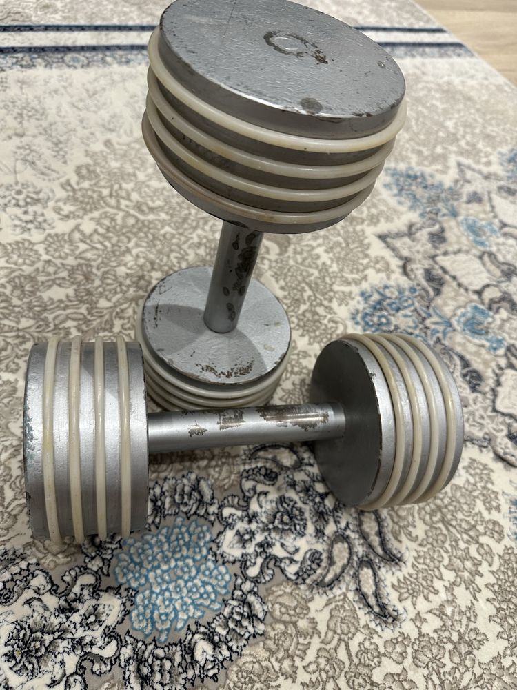 Гантели советские олимпийские вес 1/10,5 kg (разборные)