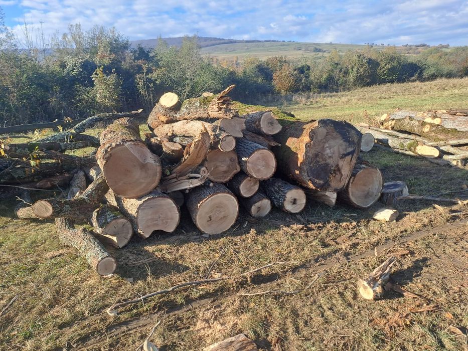 Vând lemn de foc fag+carpen+gorun