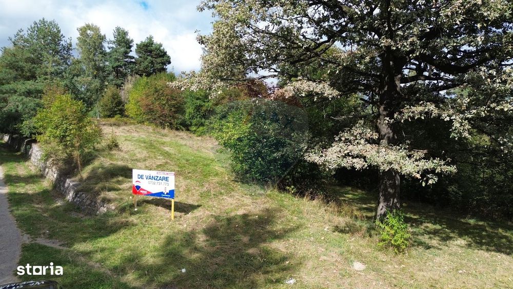 De vânzare – Teren 5.193 mp, pășune parțial împădurită, Câmpulung