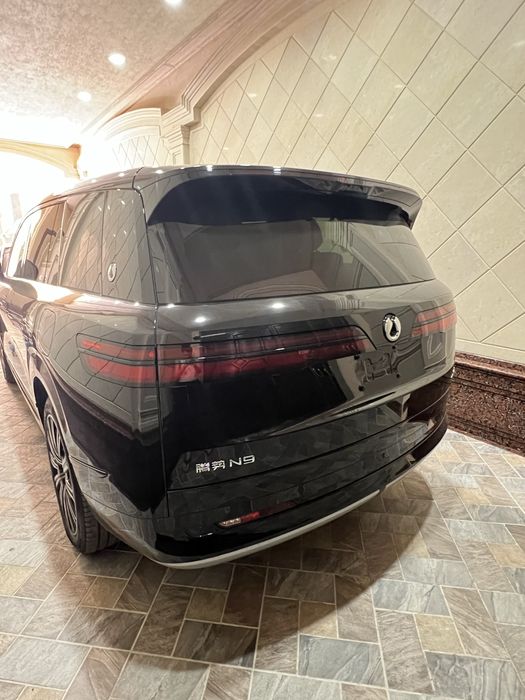 Denza n9 flegship full