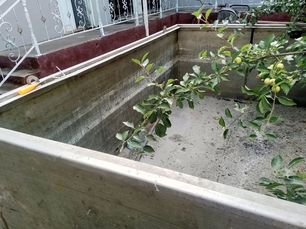Зангламас темирдан болган басан сотилади