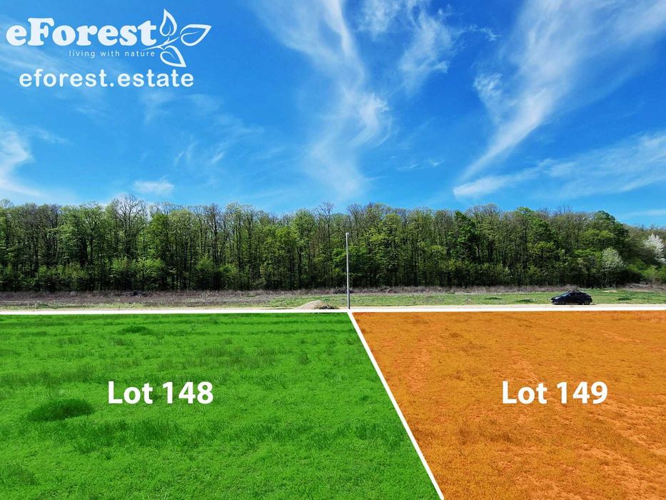 Loturi de teren lângă pădure