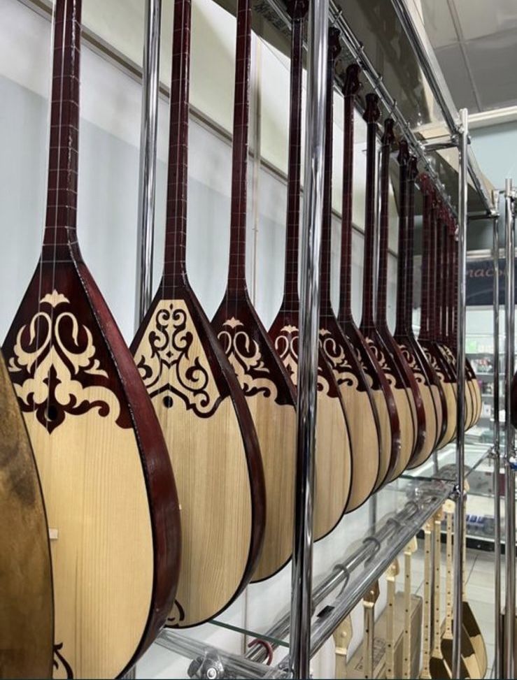 Домбыра, гитара, камшы, чехлы, чешки