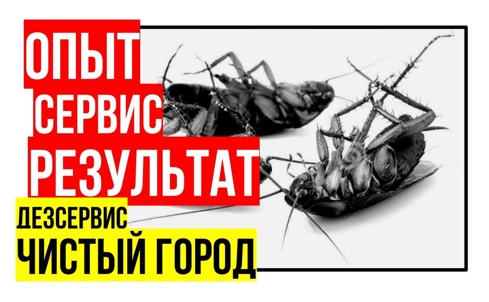 ДЕЗИНФЕКЦИЯ от вирусов и бактерий по договору