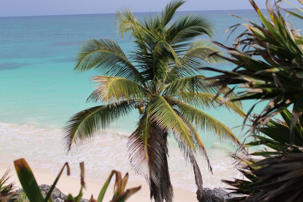 Aparat Canon EOS 2000D