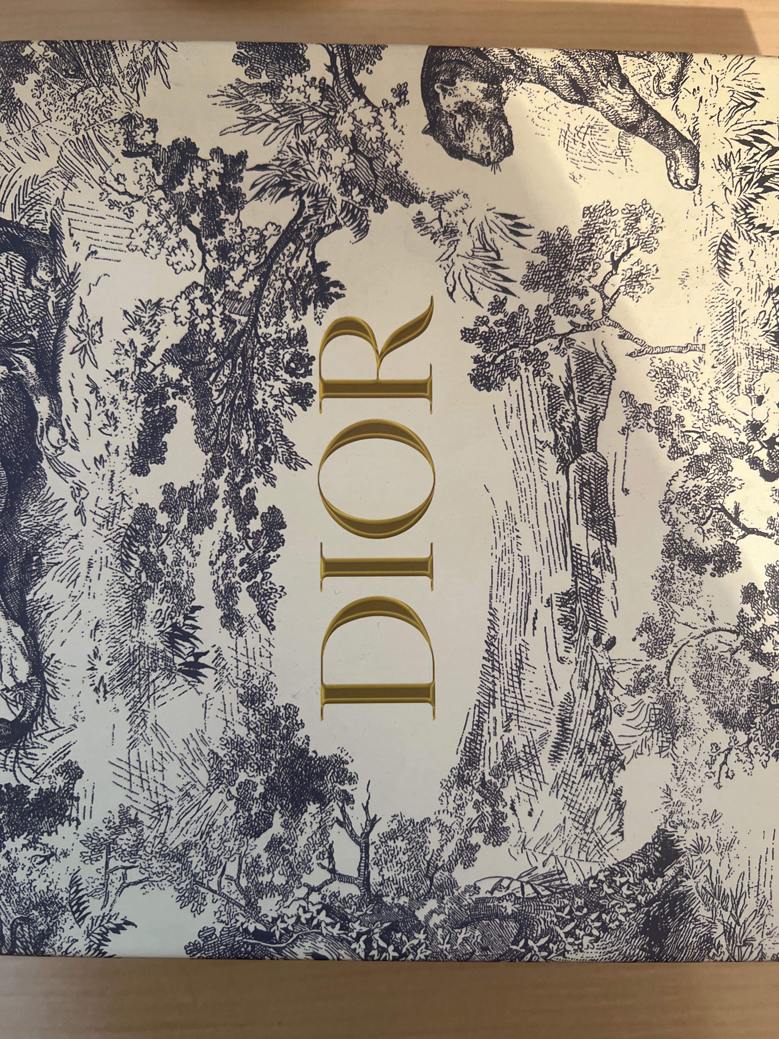 Сумка Dior седло