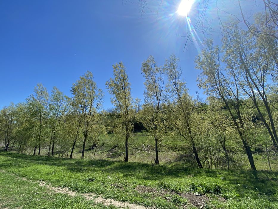 Teren intravilan 1137 mp, apa curenta, acte la zi