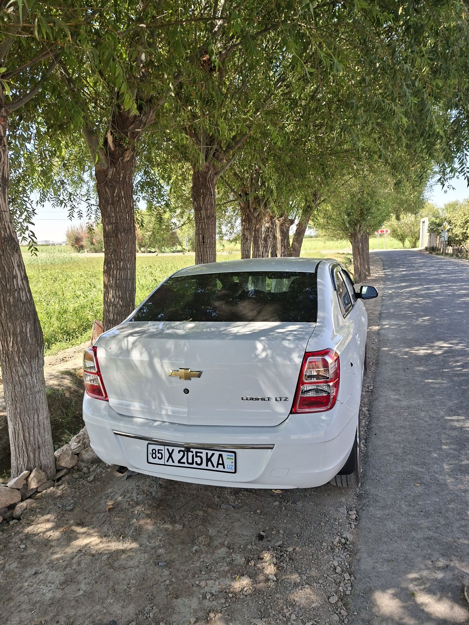 Chevrolet Cobalt 2024
