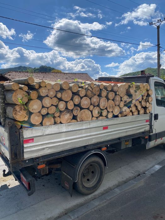 Vând lemne pentru foc fag.