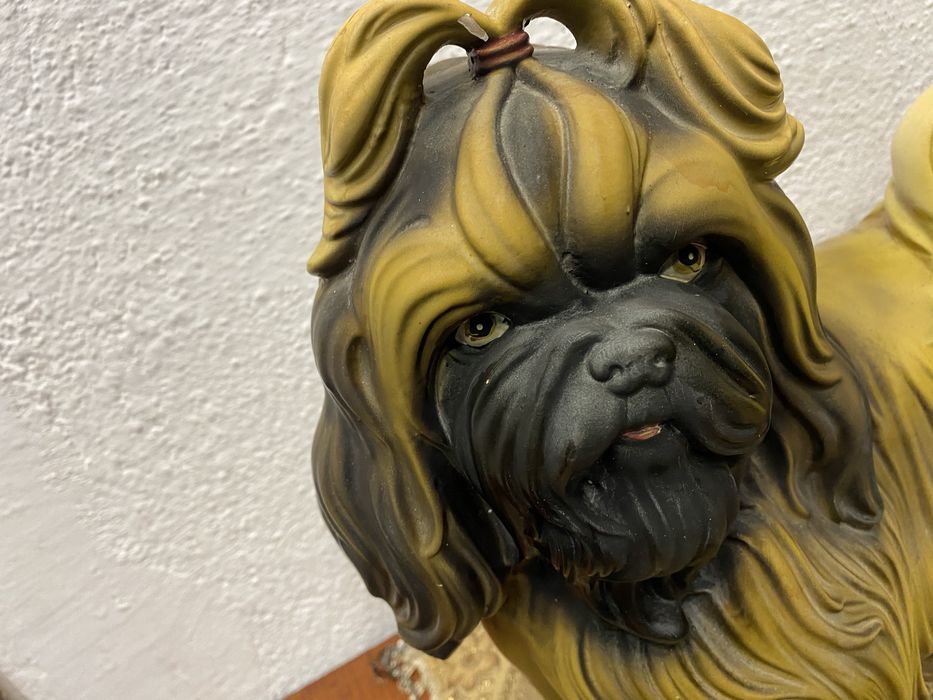 Немско порцеланово куче порода ли тцу