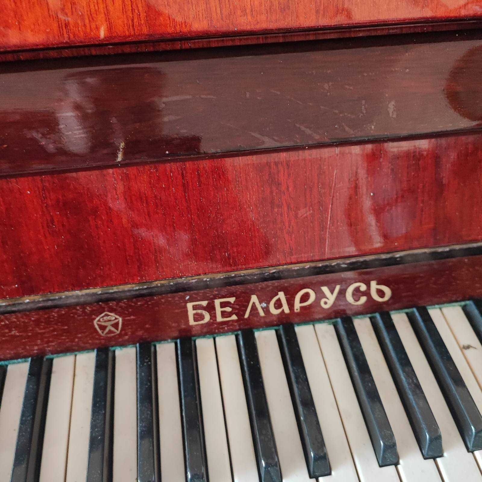 Пияно беларусии ,