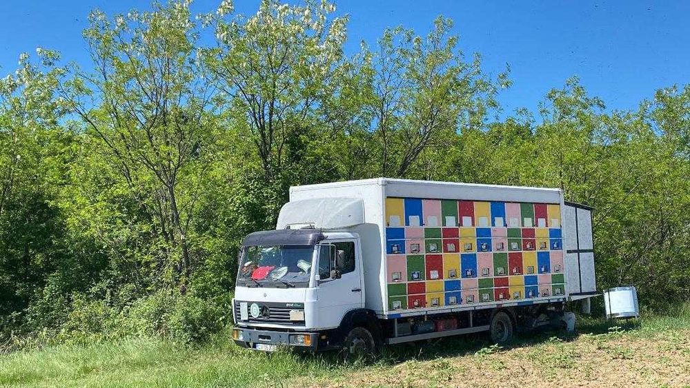 Camion apicol cu 76 stupi, lift, cabină extractie