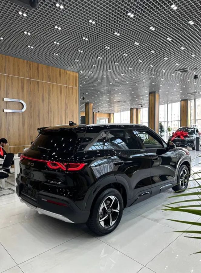 BYD Yuan Up  Smart drive