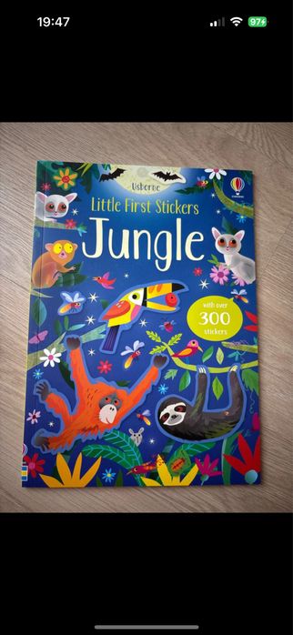 Carte usborne stickere