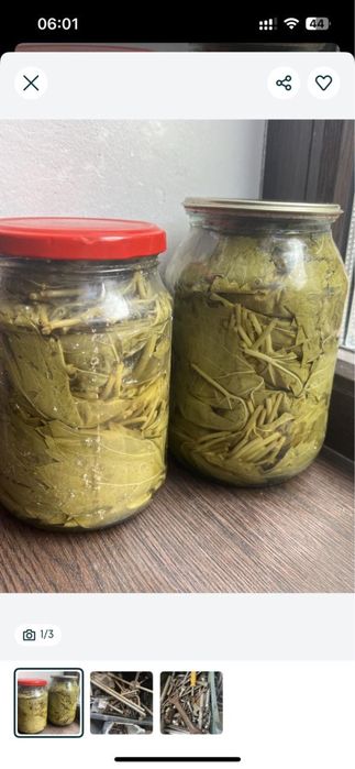 Виноградные листя для долмы