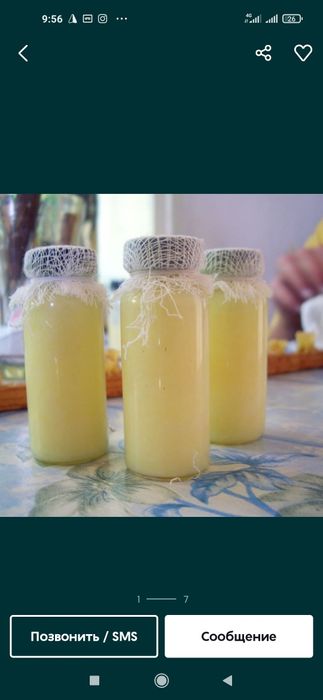 Ari suti asal ari suti