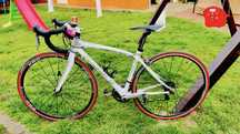 Cursiera Ribble carbon