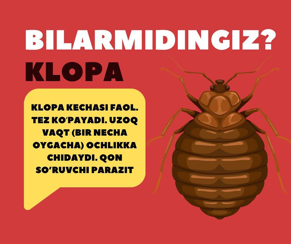 Дезинфекция dezinfeksiya