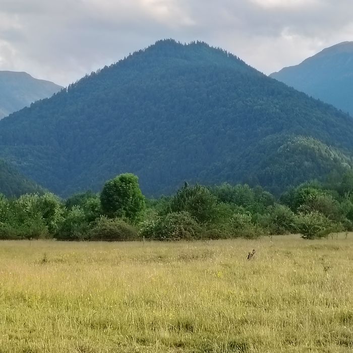 Vând teren zona turistica Breaza Făgăraș jud Brașov