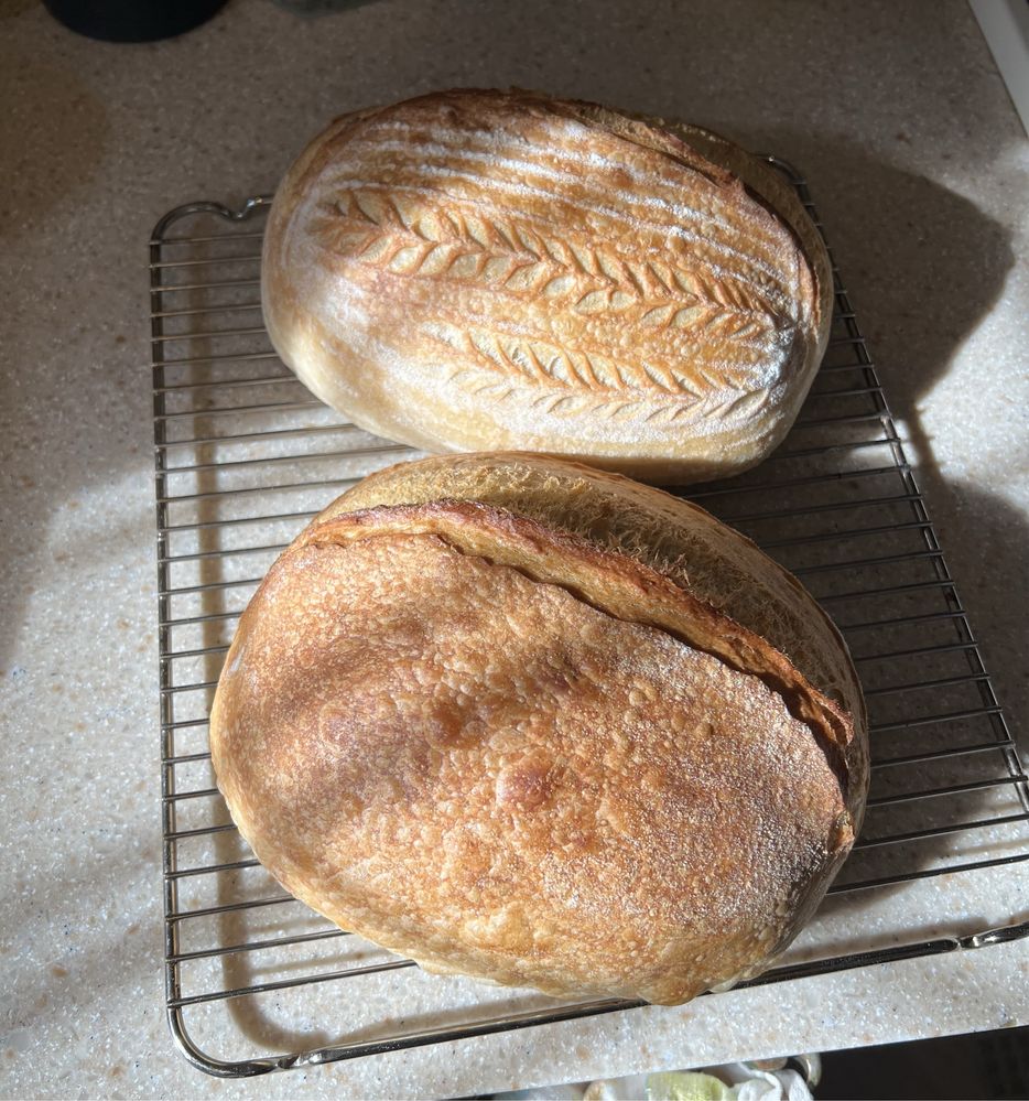 Ремесленный хлеб на закваске: тартин, ржаной, французская булка