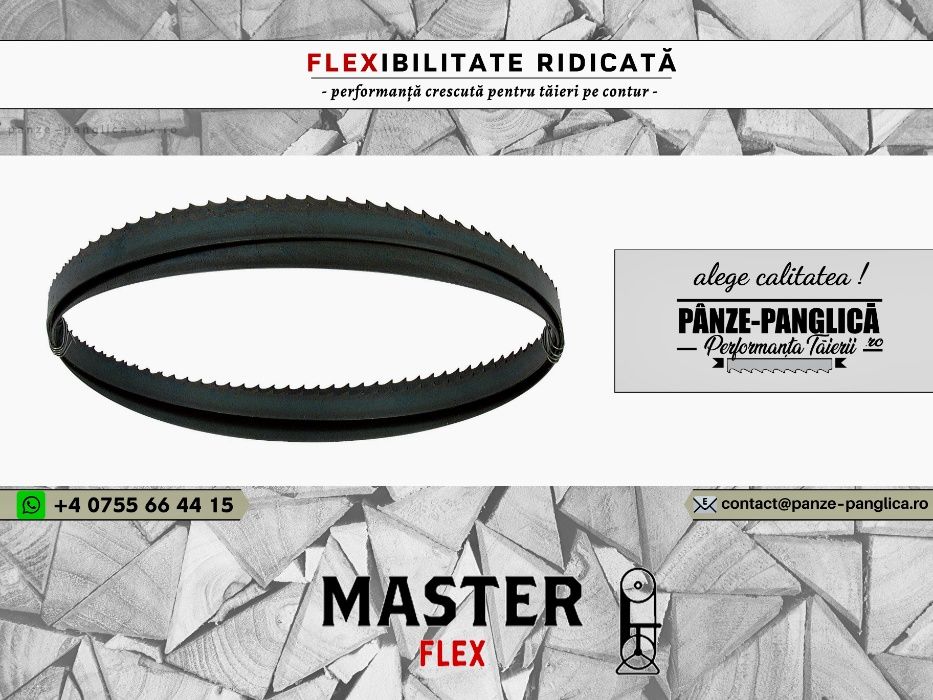 MASTER FLEX Panze panglica banzic tamplaresti pentru fierastrau banda