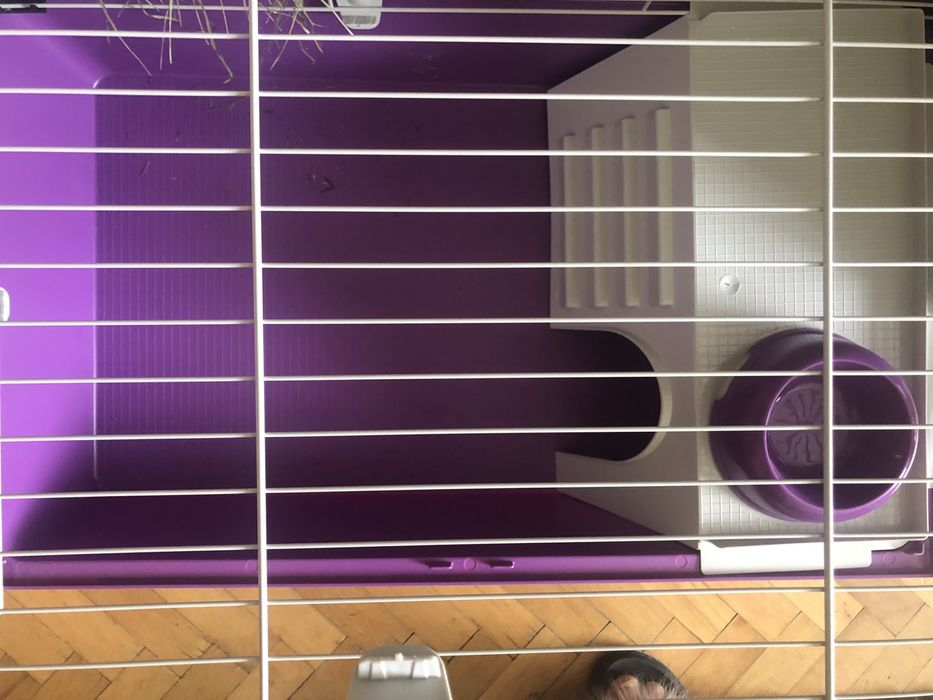 Нова клетка за гризач