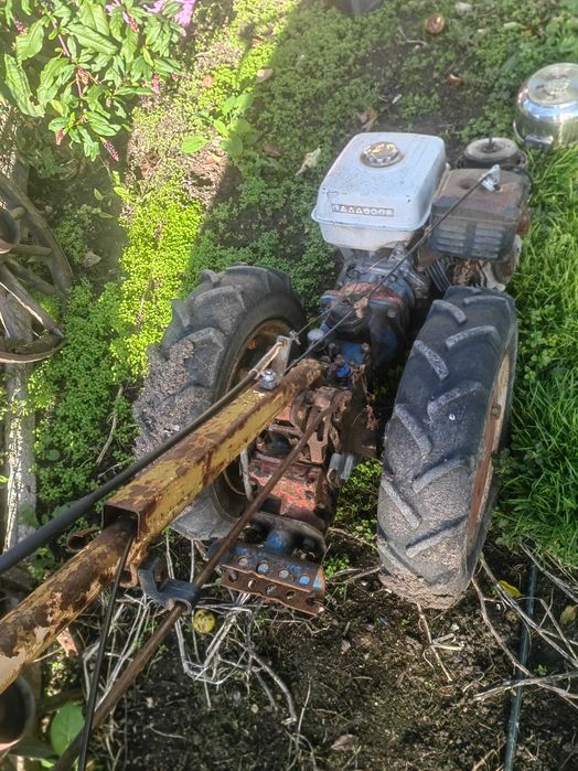 мотоблок роджерини