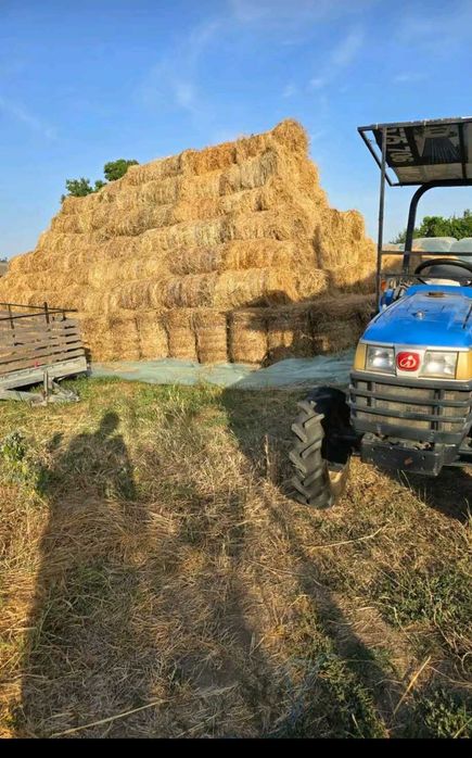 Baloti fan de vanzare !!